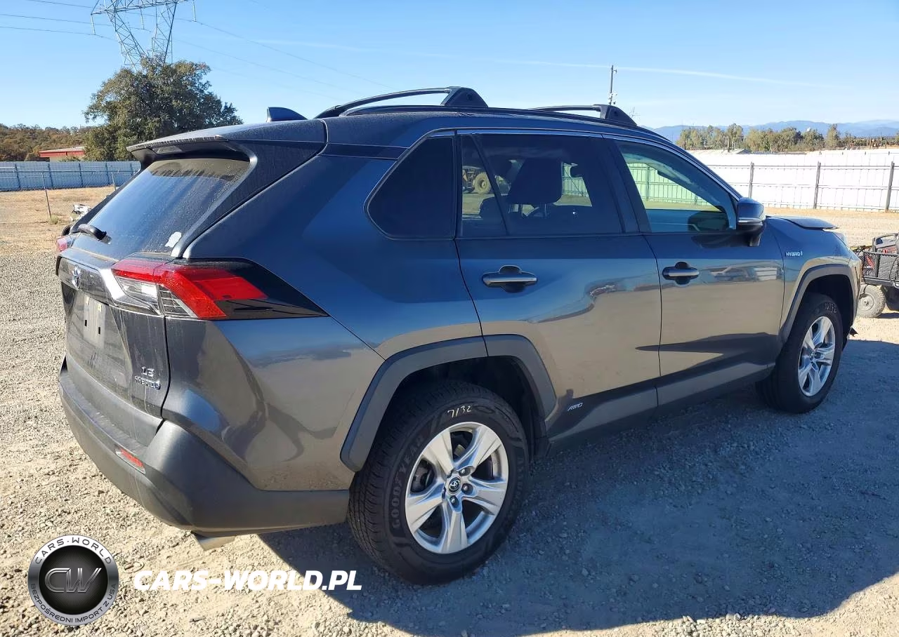 2019 Toyota Rav4 Le VIN:JTMMWRFV4KD013076 - 3
