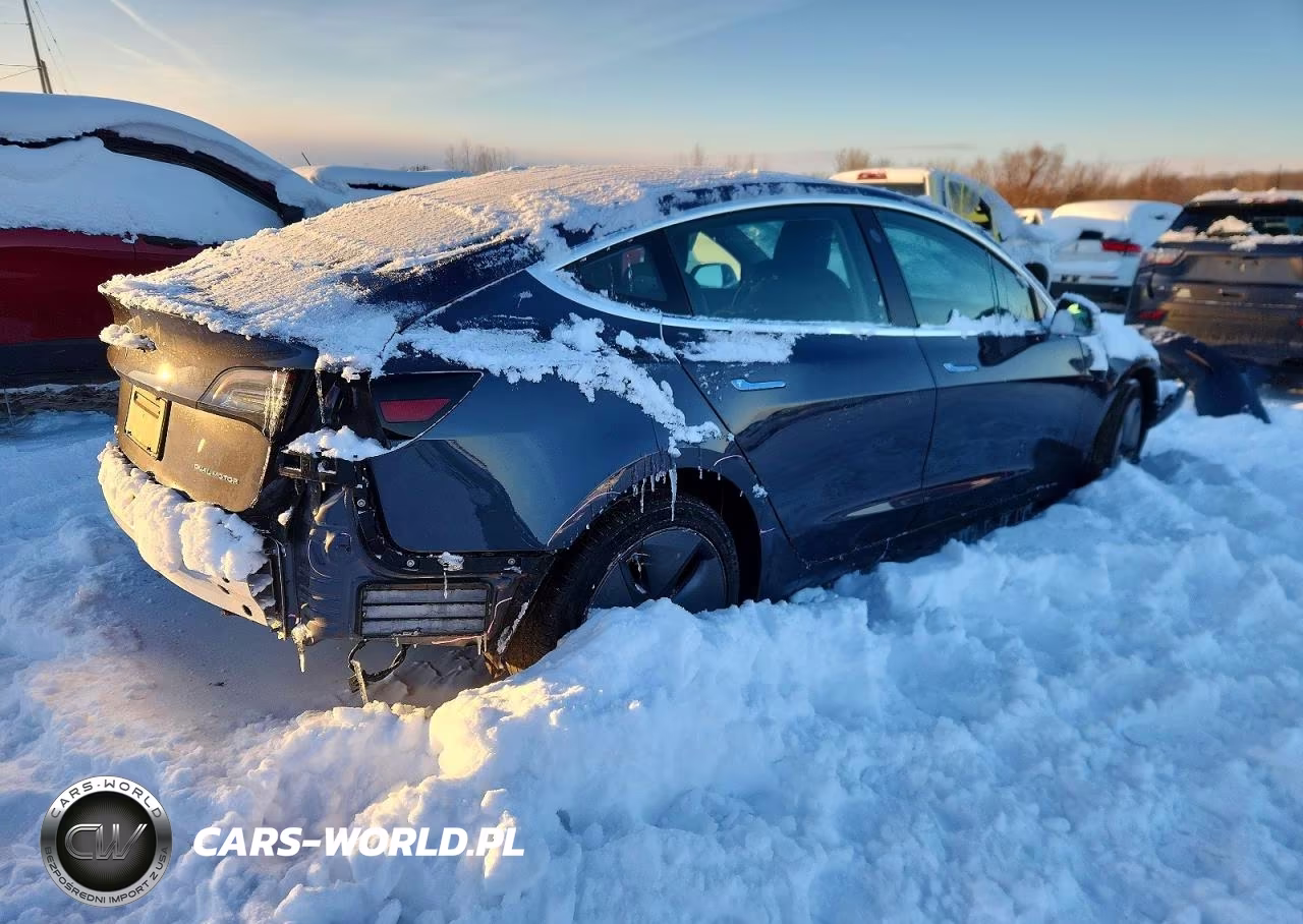 2019 Tesla Model 3 VIN:5YJ3E1EB7KF386242 - 3