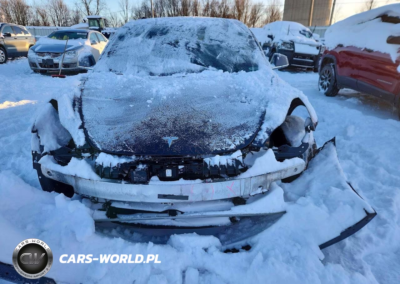 2019 Tesla Model 3 VIN:5YJ3E1EB7KF386242 - 5