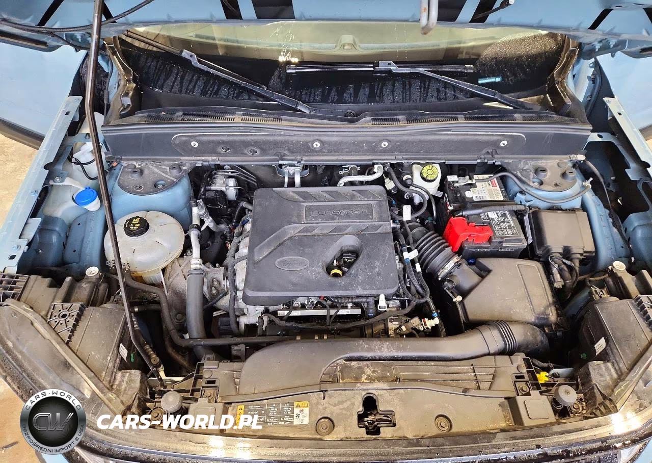 2021 Ford Bronco Sport Outer Banks VIN:3FMCR9C60MRA01867 - 12