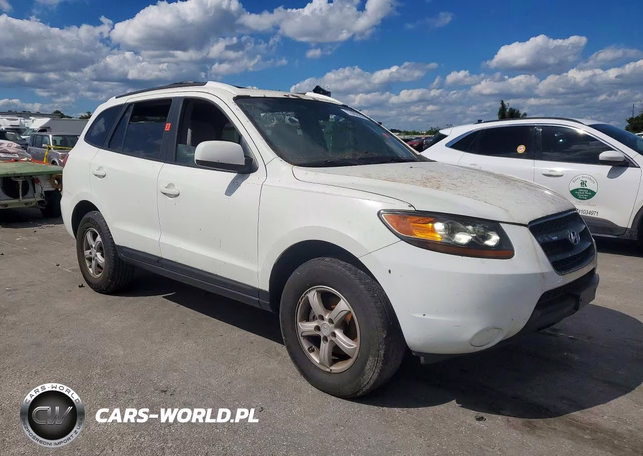 2007 Hyundai Santa Fe Gls VIN:5NMSG13D87H043083 - 4