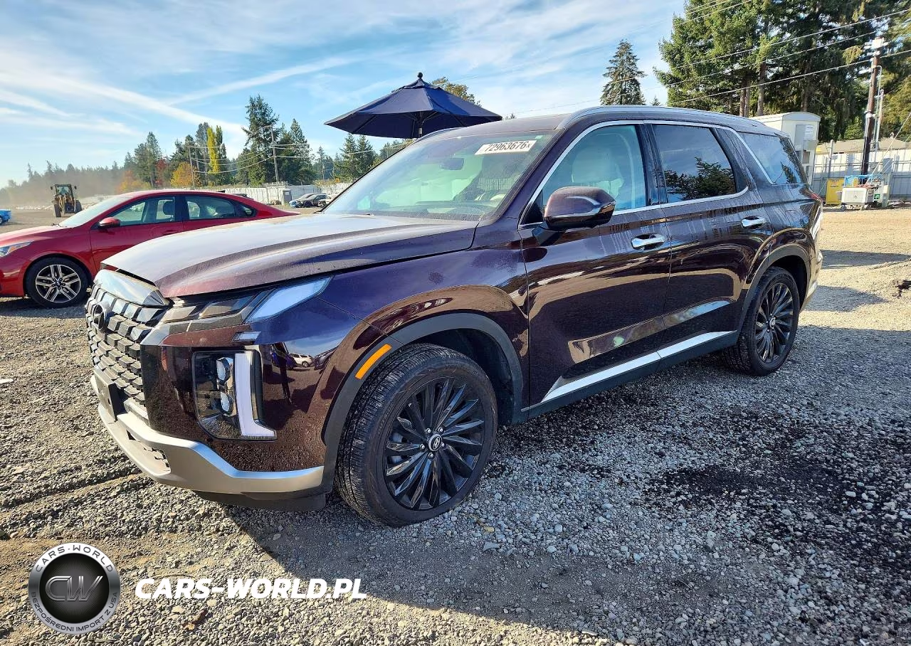 2025 Hyundai Palisade Limited VIN:KM8R5DGE5SU817277 - 1