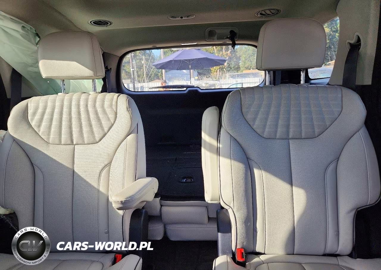 2025 Hyundai Palisade Limited VIN:KM8R5DGE5SU817277 - 10