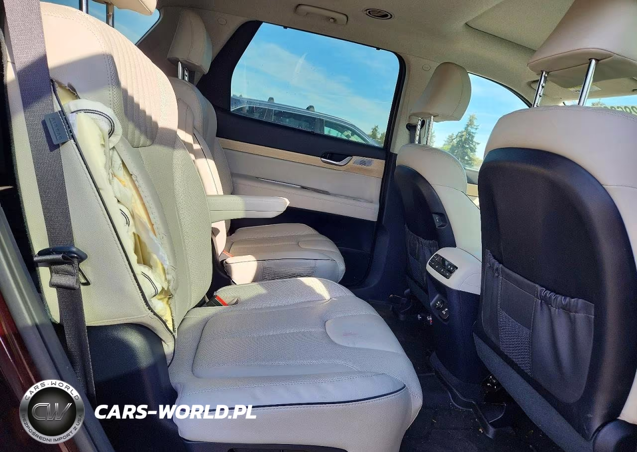 2025 Hyundai Palisade Limited VIN:KM8R5DGE5SU817277 - 11