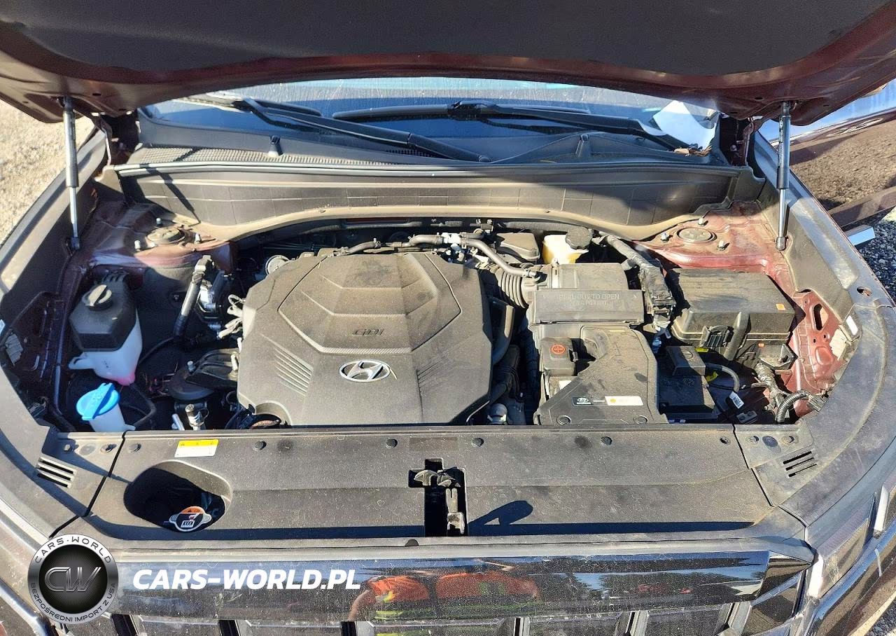 2025 Hyundai Palisade Limited VIN:KM8R5DGE5SU817277 - 12