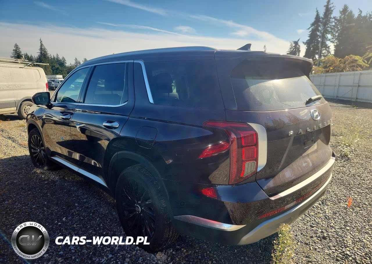 2025 Hyundai Palisade Limited VIN:KM8R5DGE5SU817277 - 2