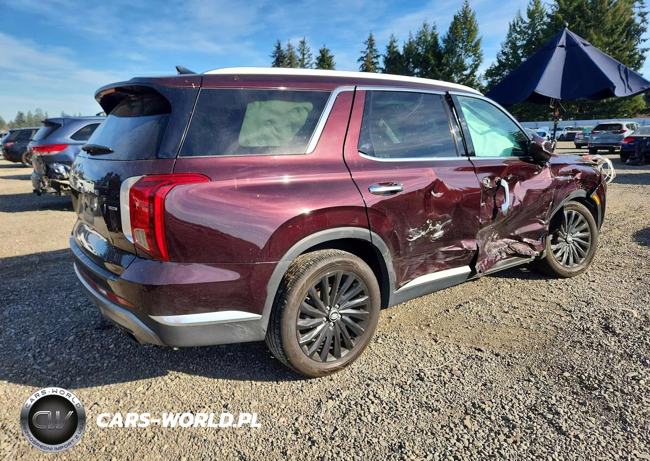 2025 Hyundai Palisade Limited VIN:KM8R5DGE5SU817277 - 3