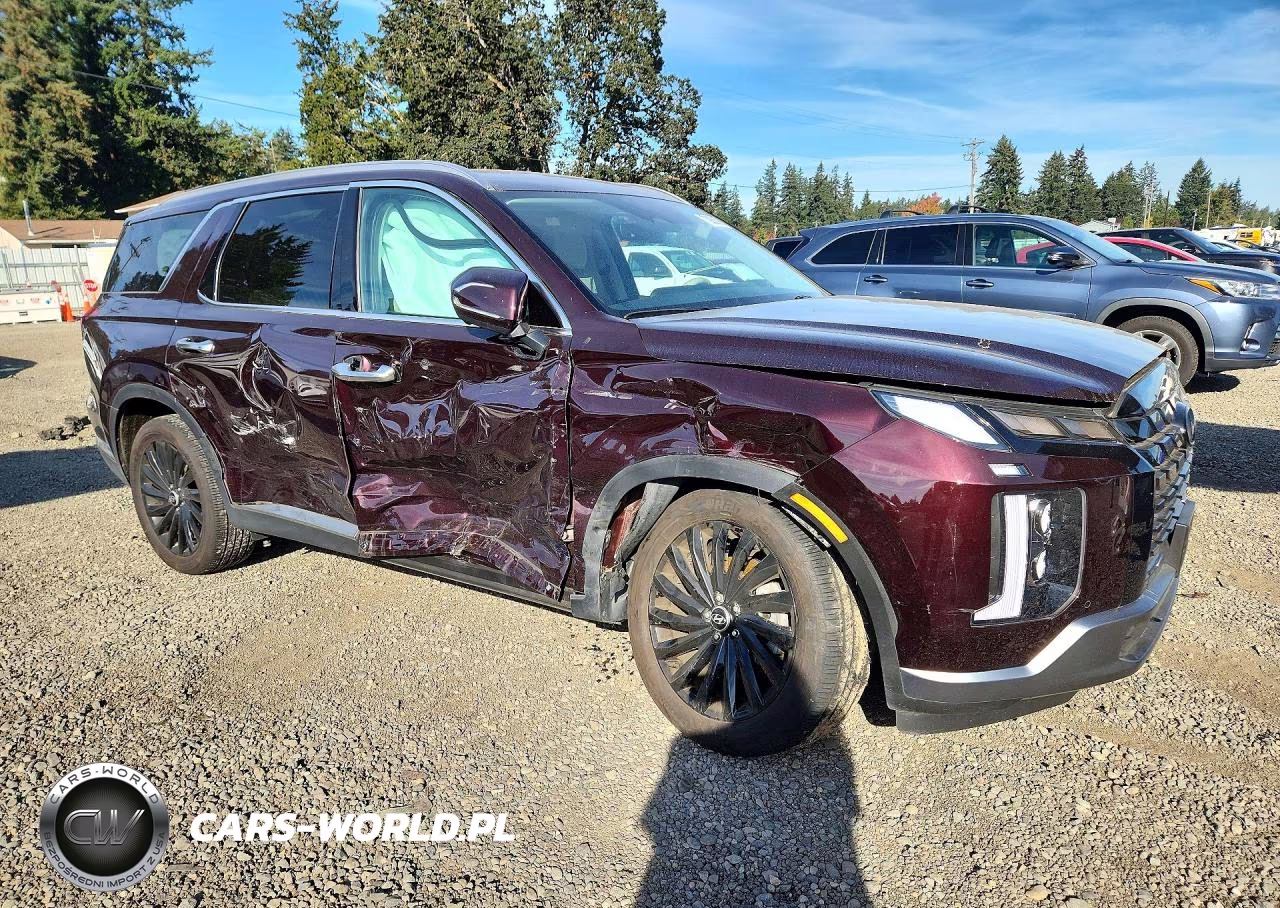 2025 Hyundai Palisade Limited VIN:KM8R5DGE5SU817277 - 4