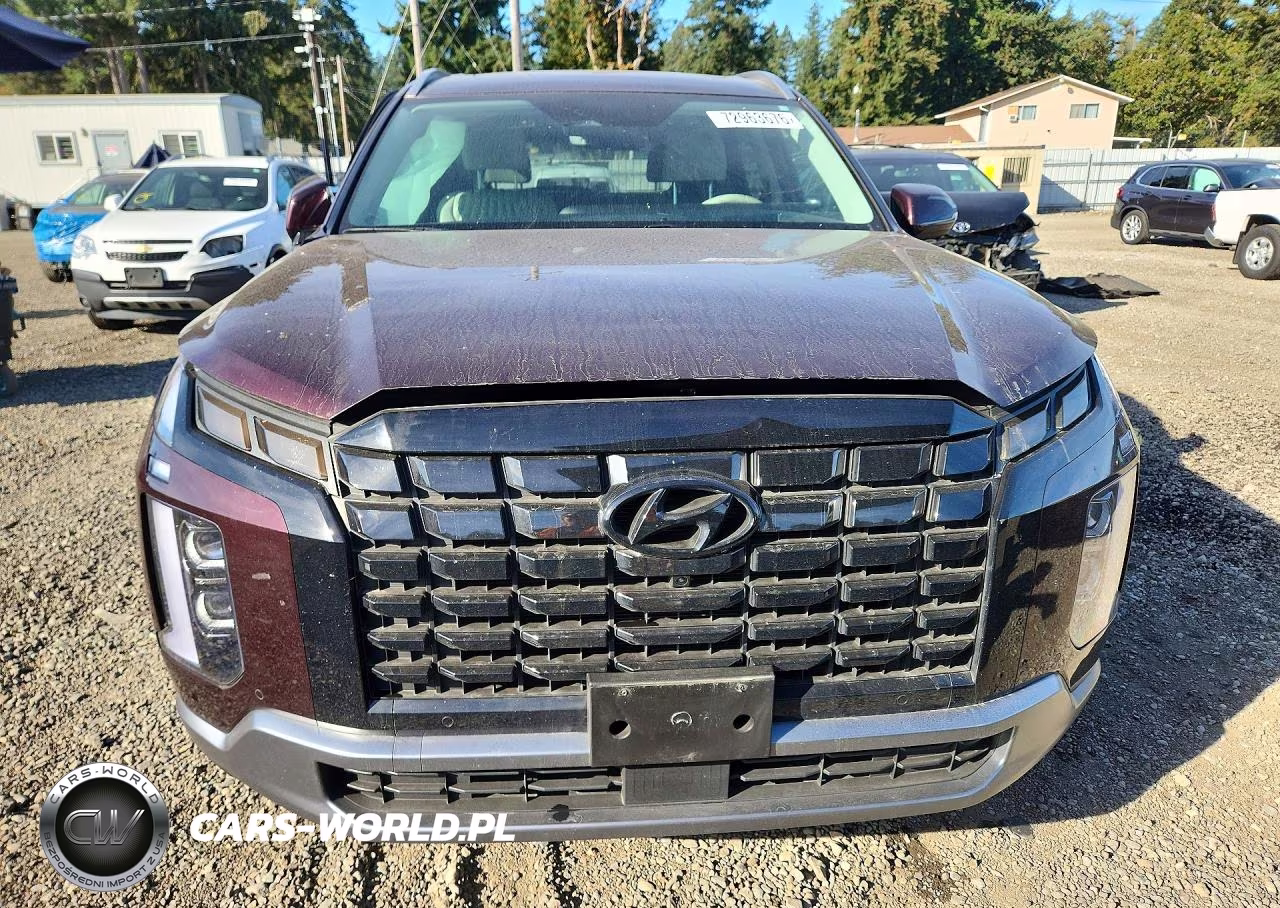 2025 Hyundai Palisade Limited VIN:KM8R5DGE5SU817277 - 5