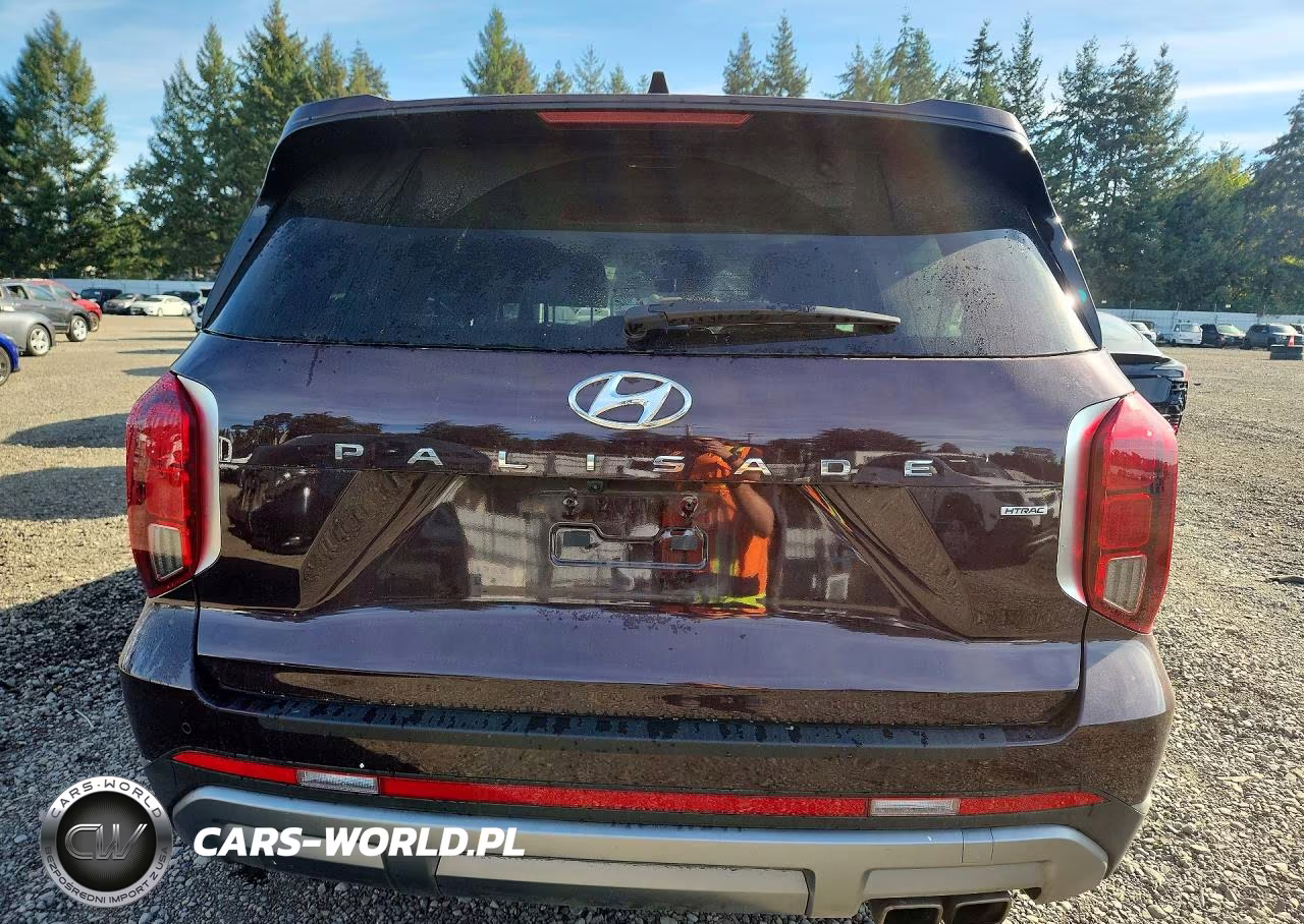 2025 Hyundai Palisade Limited VIN:KM8R5DGE5SU817277 - 6