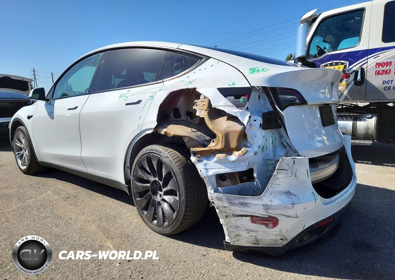 2023 Tesla Model Y VIN:7SAYGDEE9PF922825 - 2
