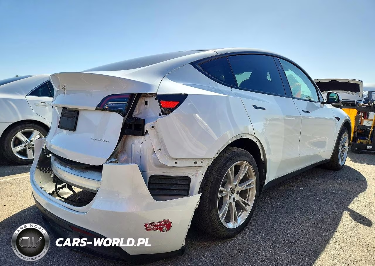 2023 Tesla Model Y VIN:7SAYGDEE9PF922825 - 3