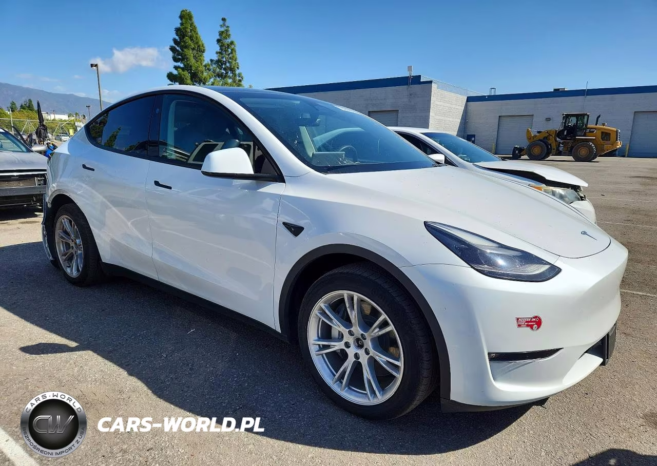 2023 Tesla Model Y VIN:7SAYGDEE9PF922825 - 4
