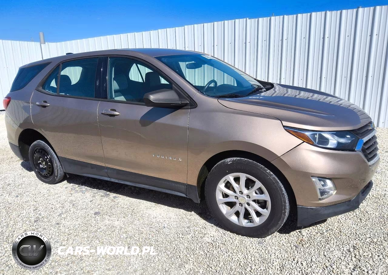 2018 Chevrolet Equinox Ls VIN:3GNAXHEV9JL267216 - 4