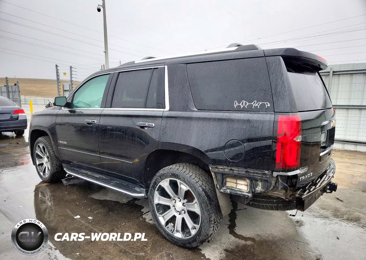 2019 Chevrolet Tahoe K1500 Premier VIN:1GNSKCKC2KR192796 - 2