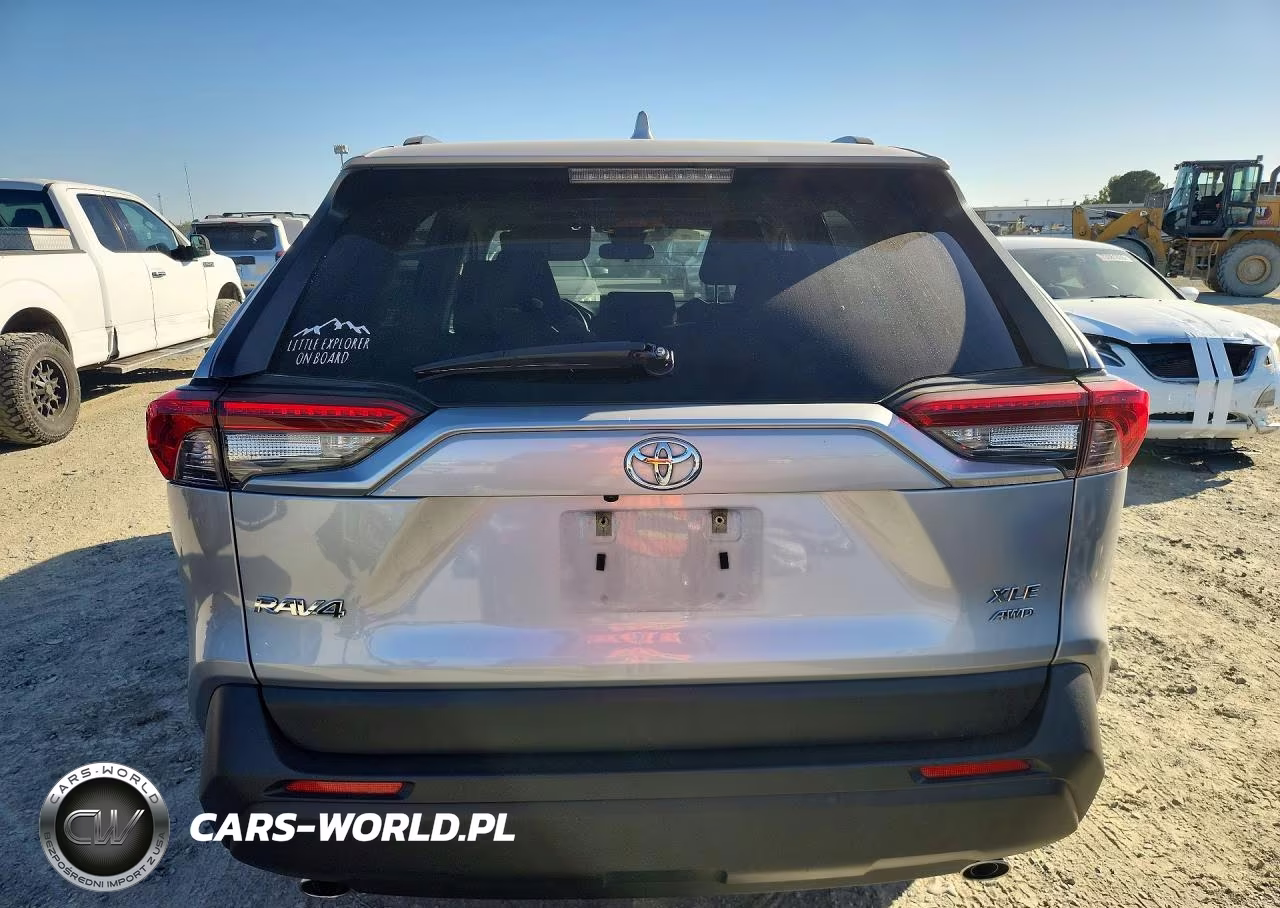 2019 Toyota Rav4 Xle VIN:JTMP1RFV3KD506100 - 6