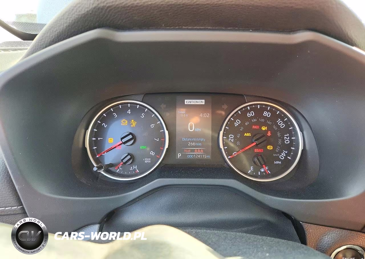 2019 Toyota Rav4 Xle VIN:JTMP1RFV3KD506100 - 9