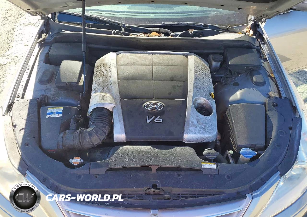 2011 Hyundai Genesis 3.8L VIN:KMHGC4DE6BU113641 - 11
