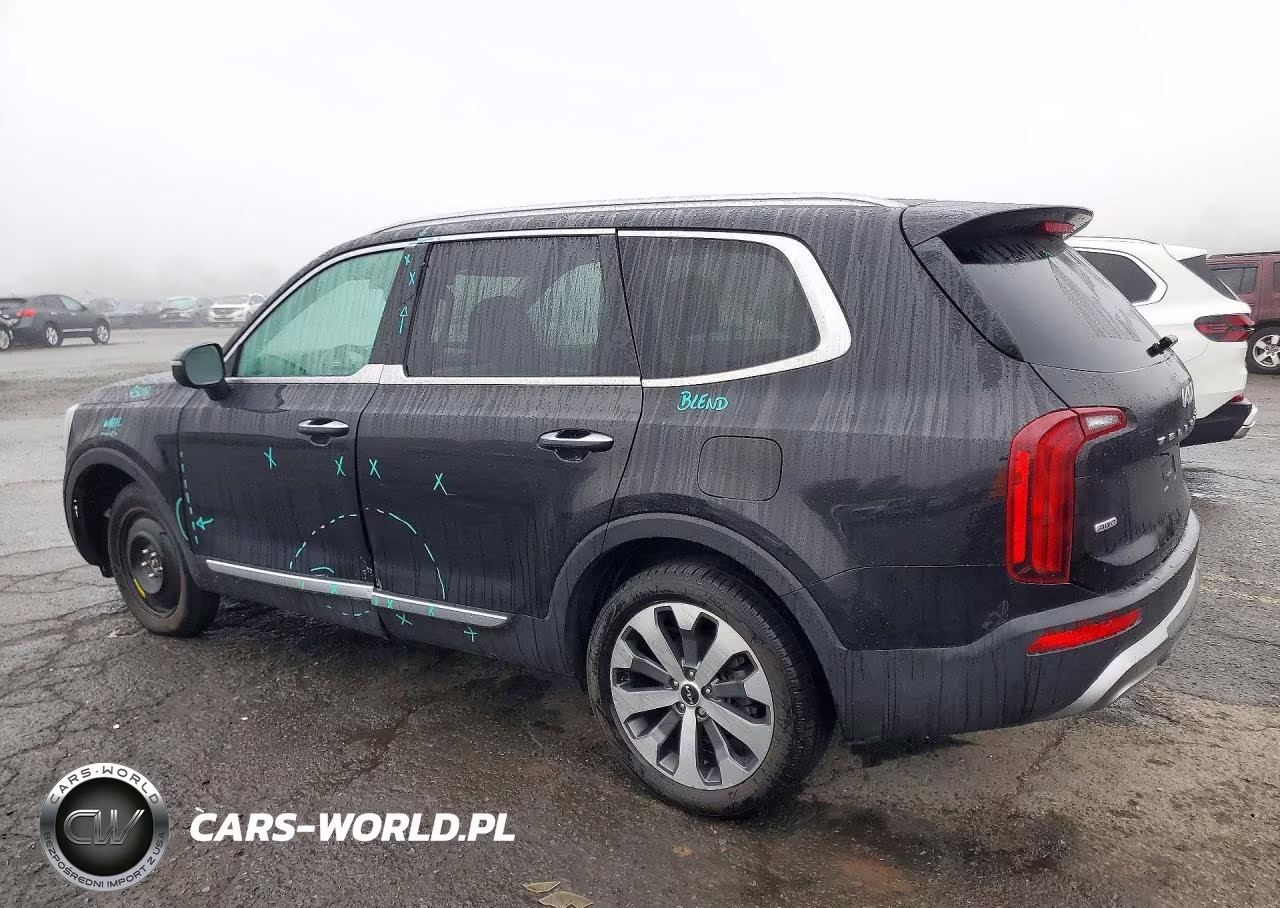 2022 Kia Telluride S VIN:5XYP6DHC2NG199251 - 2