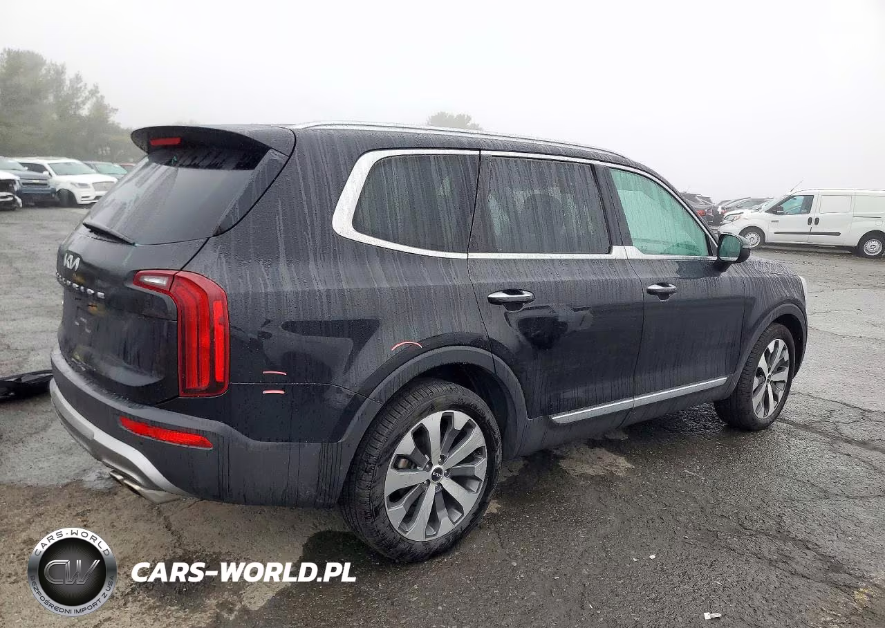 2022 Kia Telluride S VIN:5XYP6DHC2NG199251 - 3