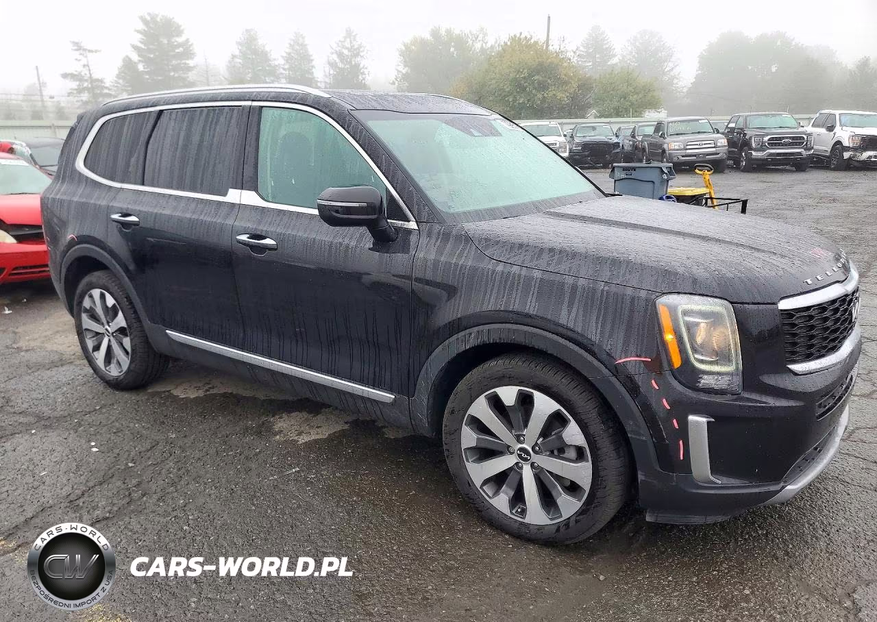2022 Kia Telluride S VIN:5XYP6DHC2NG199251 - 4