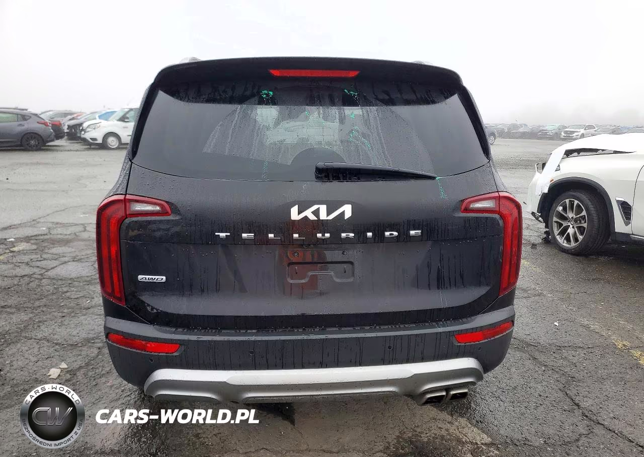 2022 Kia Telluride S VIN:5XYP6DHC2NG199251 - 6