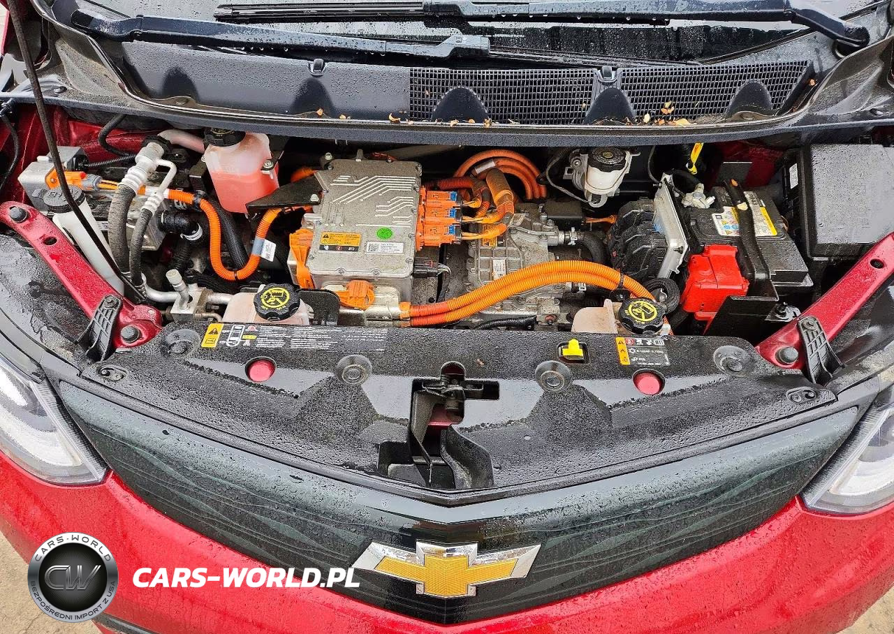 2019 Chevrolet Bolt Ev Lt VIN:1G1FY6S03K4115098 - 11