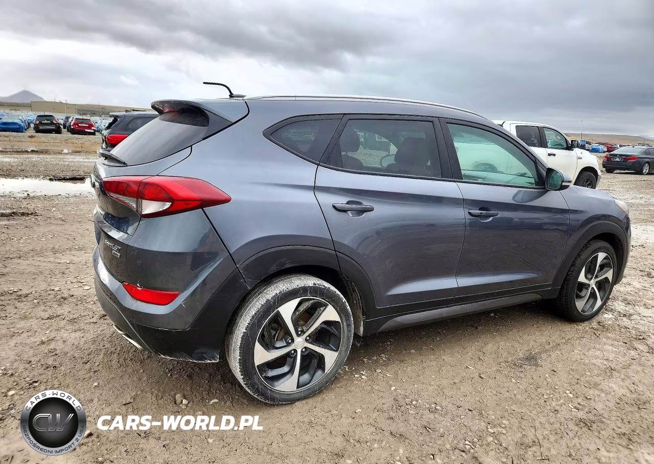 2016 Hyundai Tucson Sport VIN:KM8J3CA28GU224757 - 3