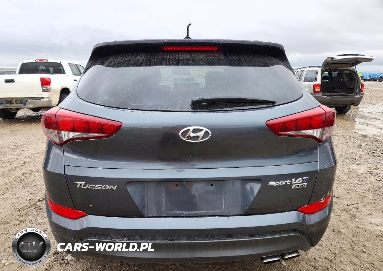 2016 Hyundai Tucson Sport VIN:KM8J3CA28GU224757 - 6