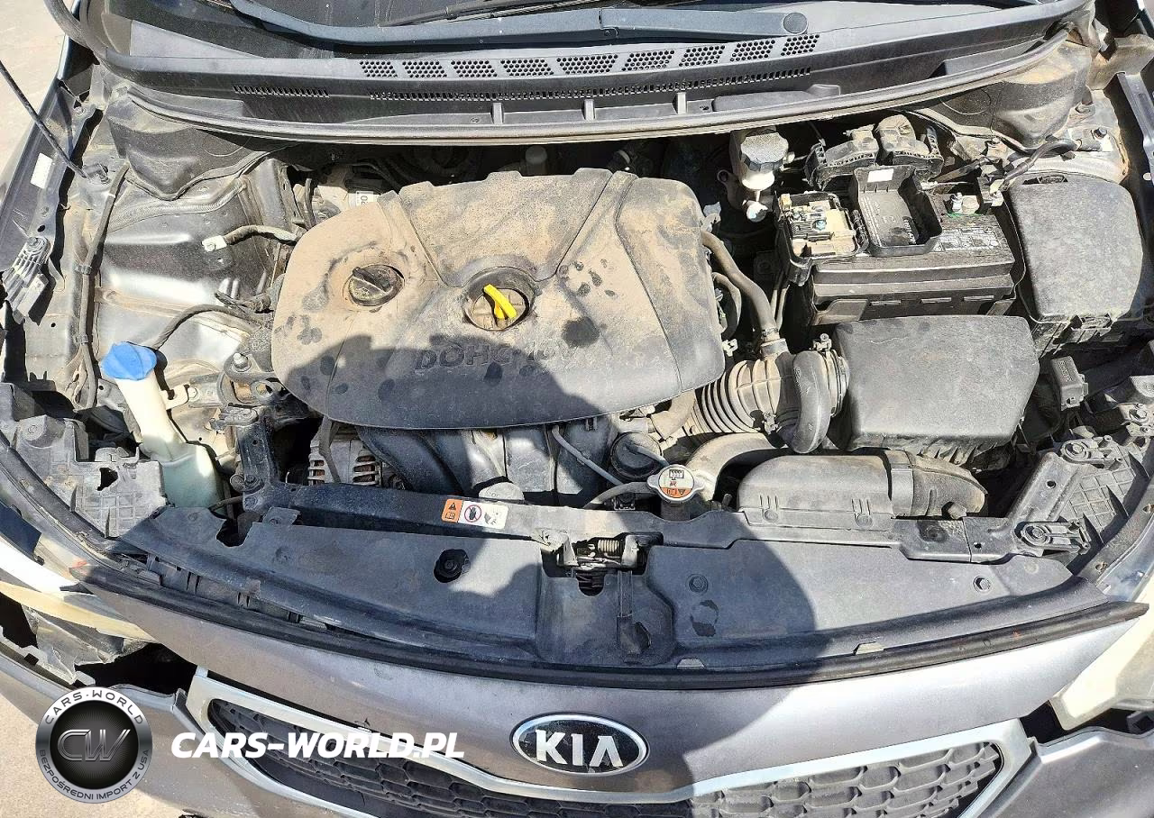 2016 Kia Forte Lx VIN:KNAFX4A62G5561908 - 11