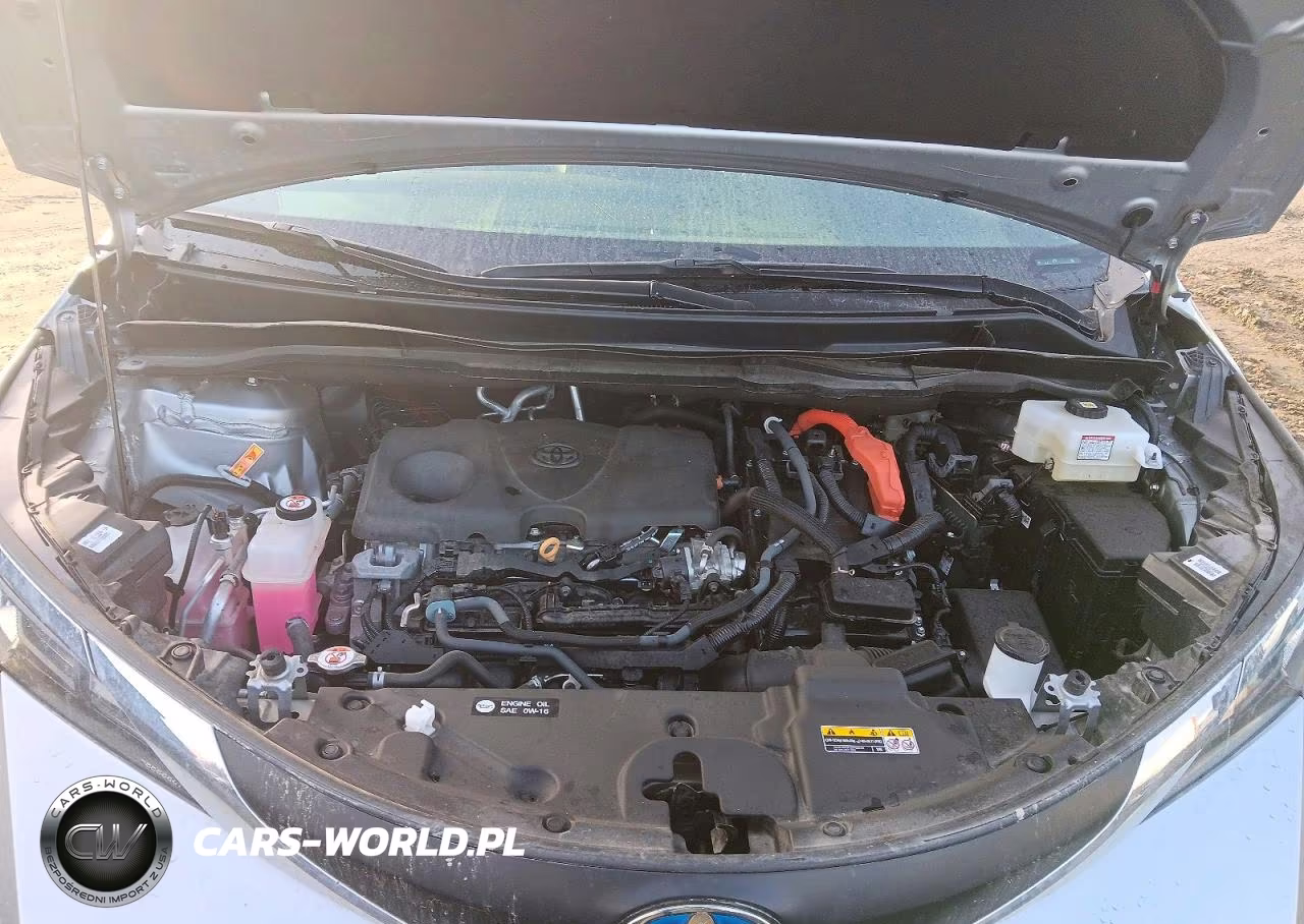 2025 Toyota Sienna Xle 7-Passenger VIN:5TDJSKFCXSS166487 - 11