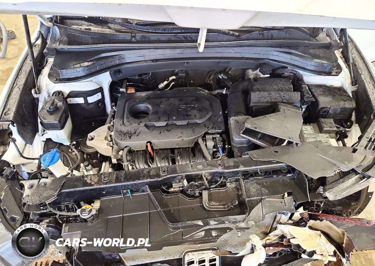 2020 Hyundai Santa Fe Sel VIN:5NMS33AD7LH294195 - 12