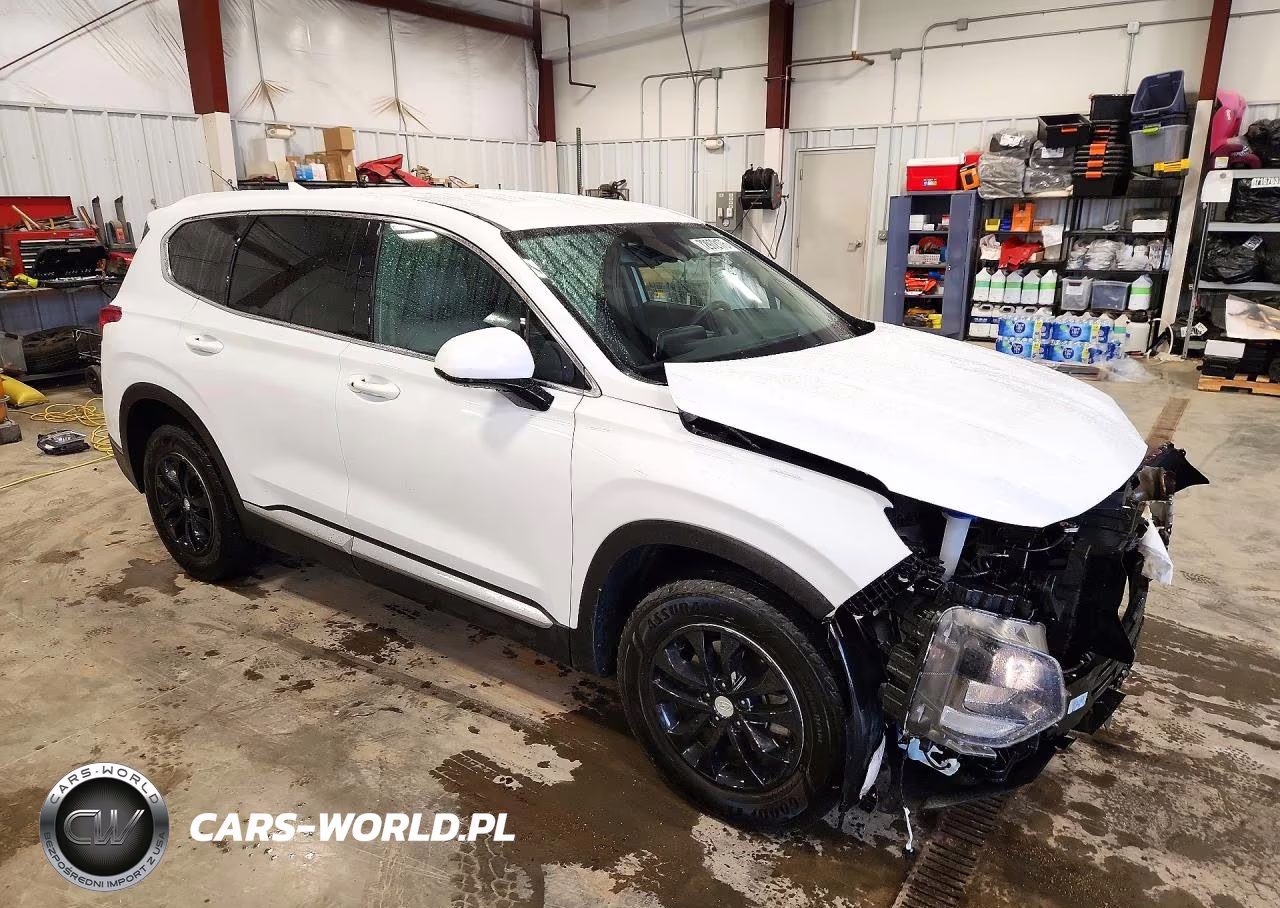2020 Hyundai Santa Fe Sel VIN:5NMS33AD7LH294195 - 4