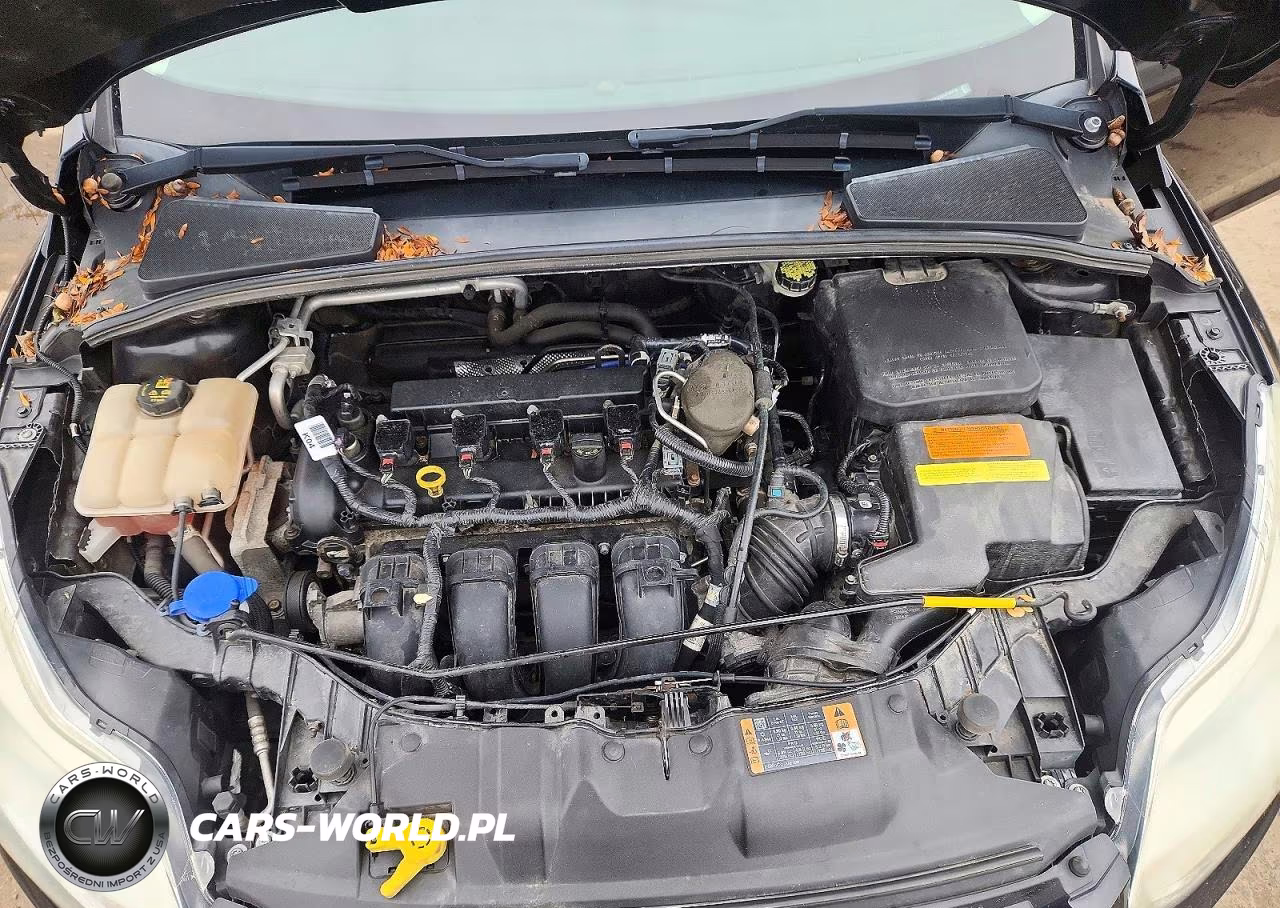 2014 Ford Focus Se VIN:1FADP3F25EL418914 - 11