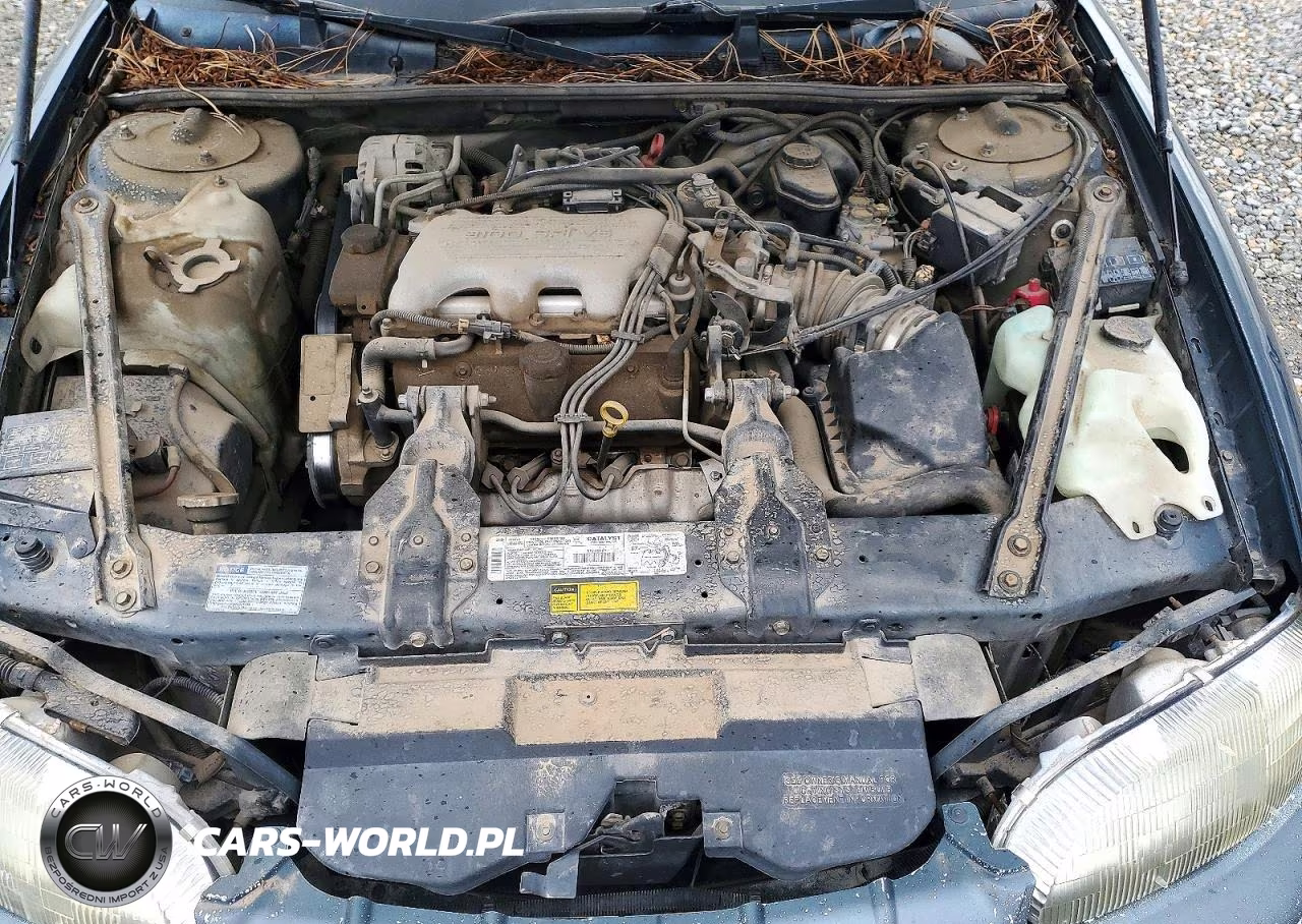 1996 Chevrolet Lumina VIN:2G1WL52M2T9314489 - 11