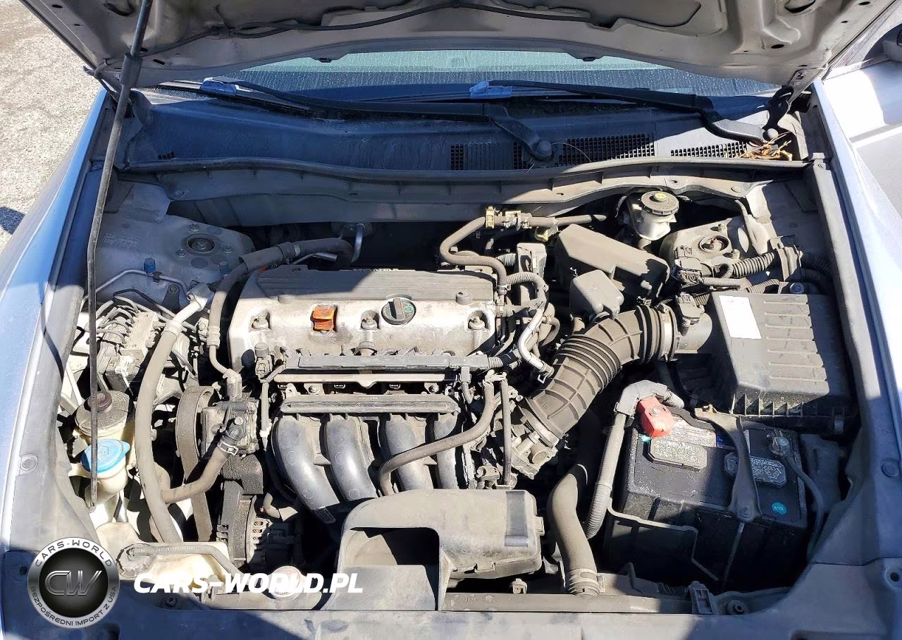 2010 Honda Accord Lxp VIN:1HGCP2F42AA142782 - 11
