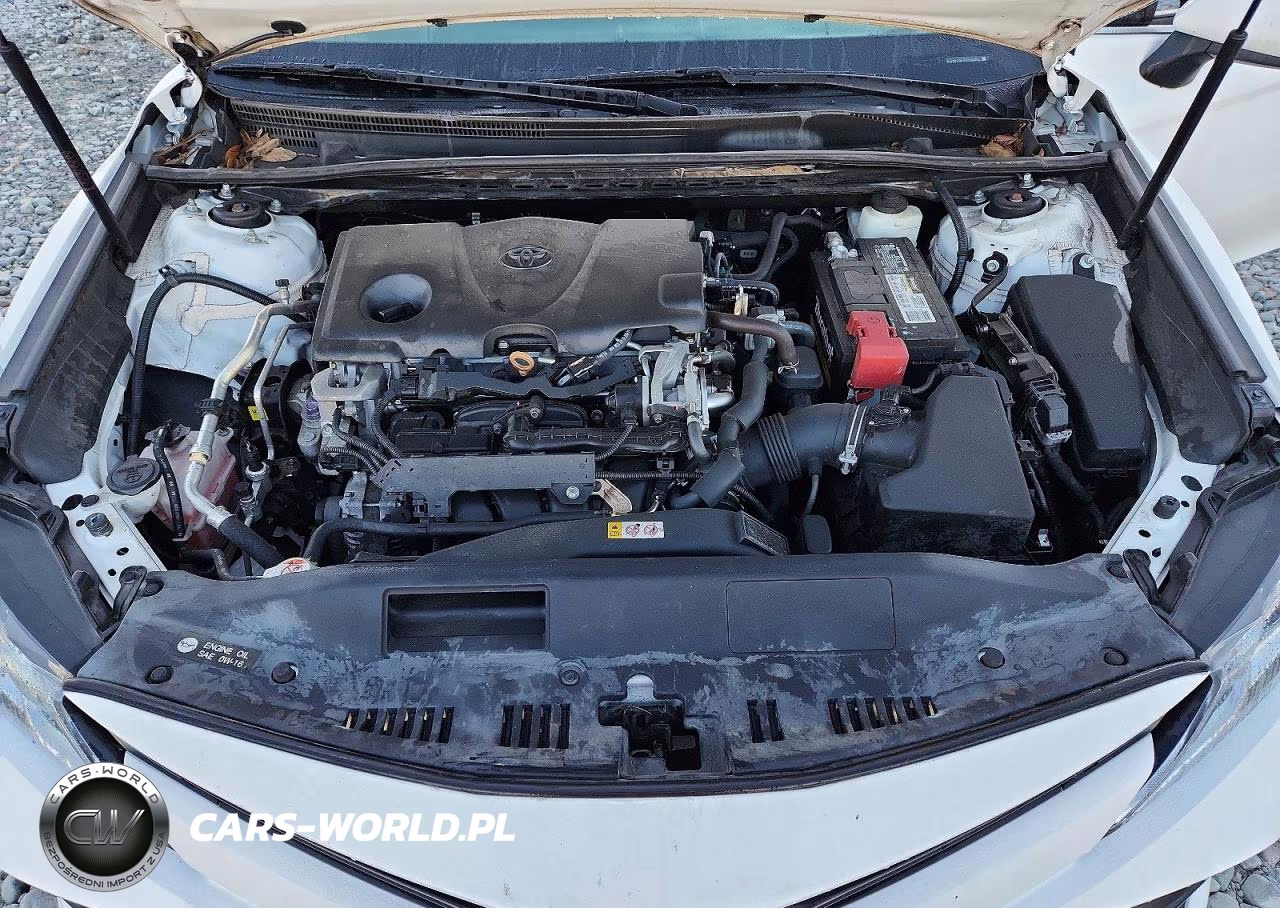 2019 Toyota Camry Le VIN:4T1B11HK3KU203666 - 11