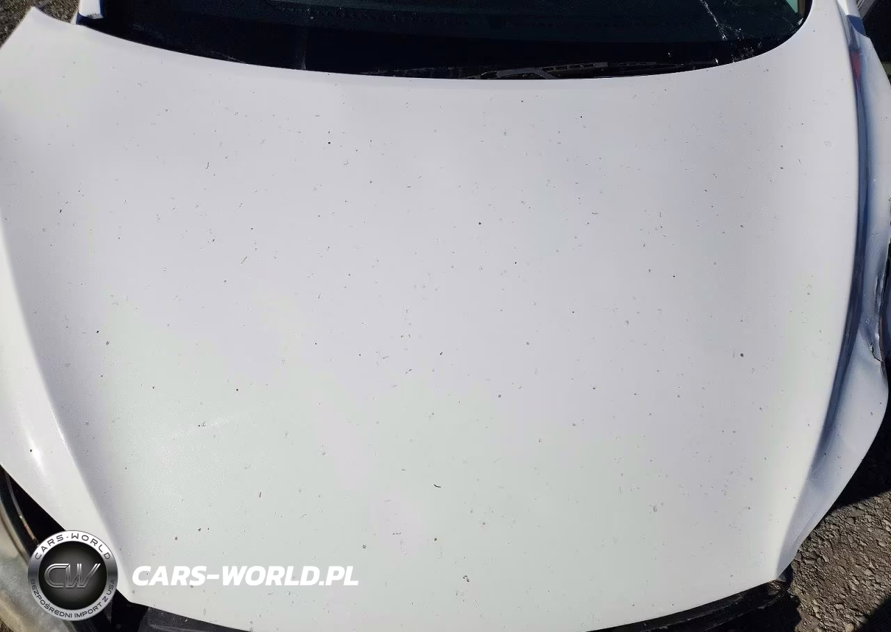 2014 Hyundai Elantra Limited VIN:5NPDH4AE7EH504938 - 11