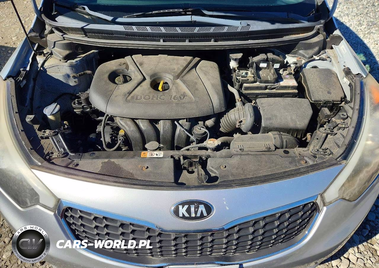 2014 Kia Forte Lx VIN:KNAFX4A60E5217720 - 11