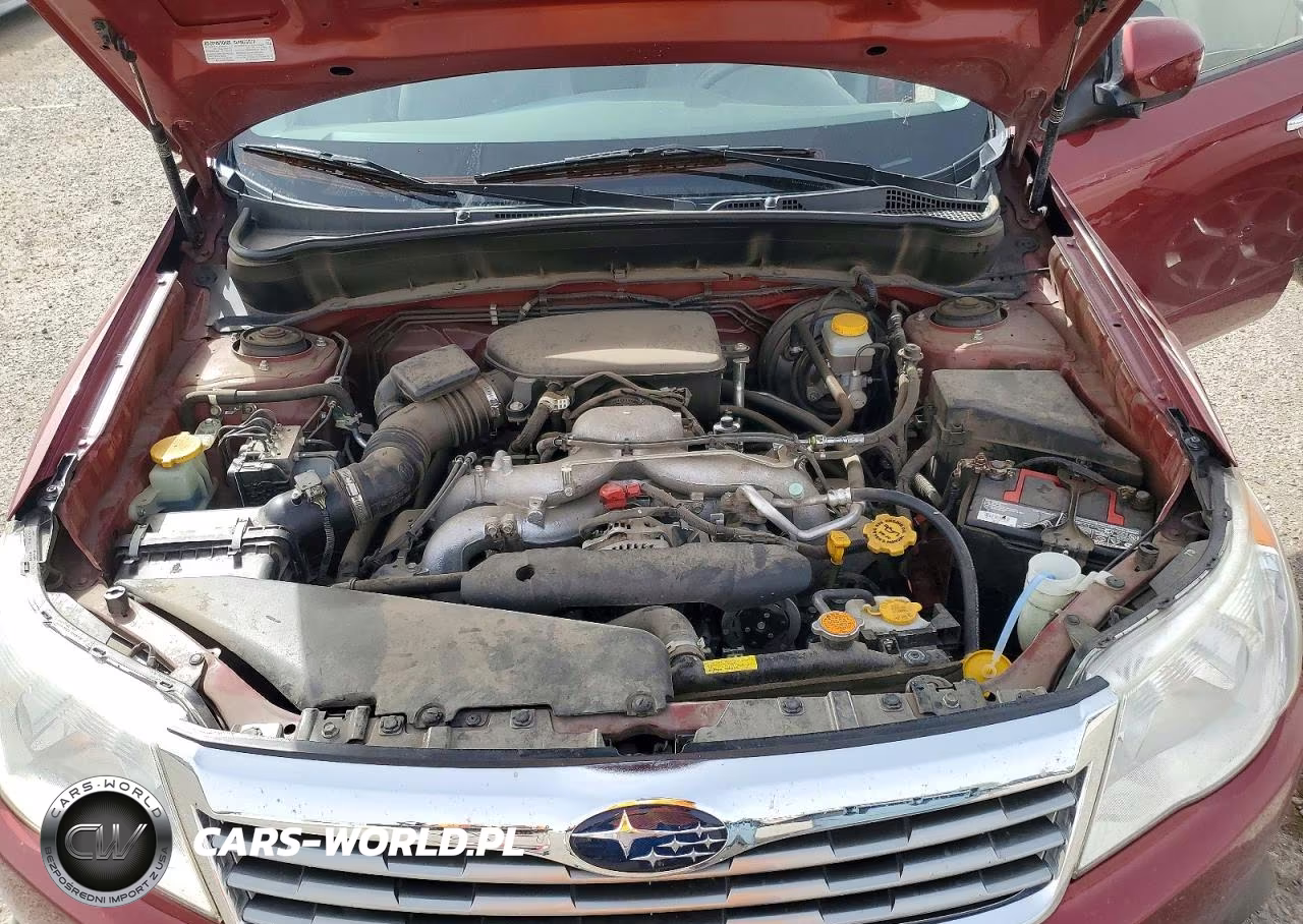2010 Subaru Forester 2.5X Premium VIN:JF2SH6CC9AH782426 - 11