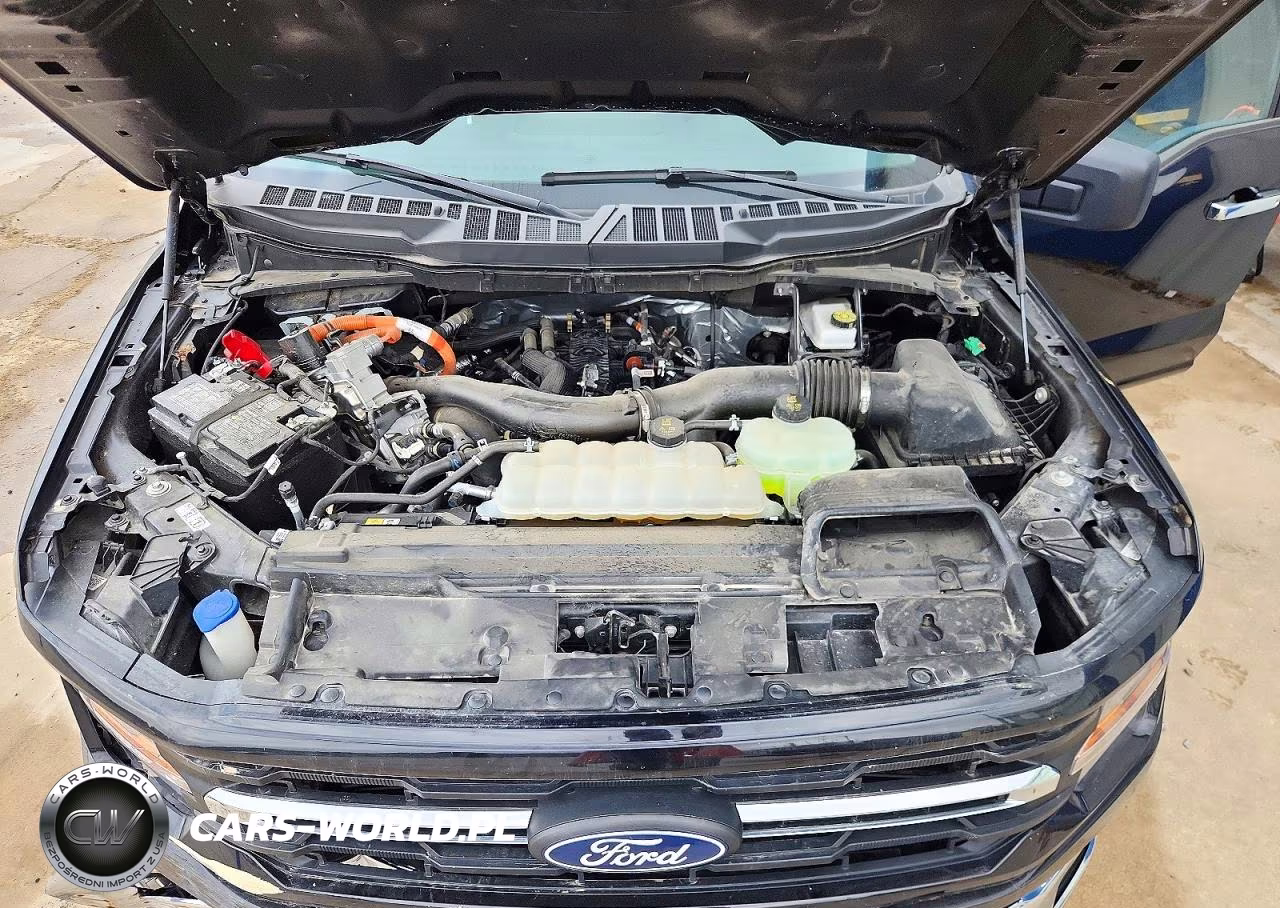 2025 Ford F150 Xlt VIN:1FTFW3LD1SFB00925 - 11