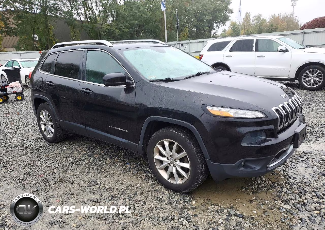 2014 Jeep Cherokee Limited VIN:1C4PJMDB6EW157194 - 4
