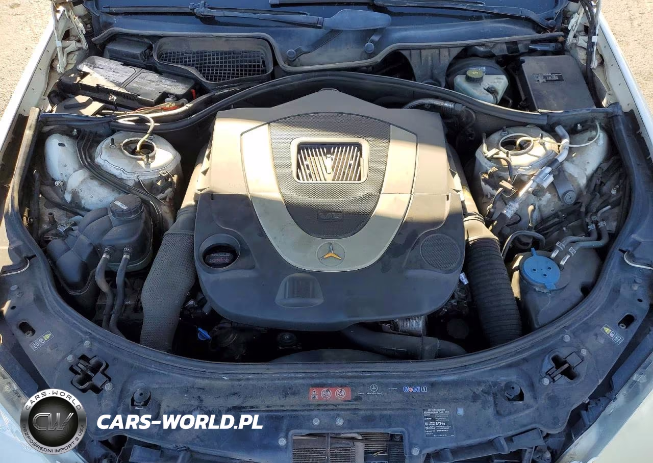 2009 Mercedes-Benz S 550 VIN:WDDNG71X89A278048 - 11