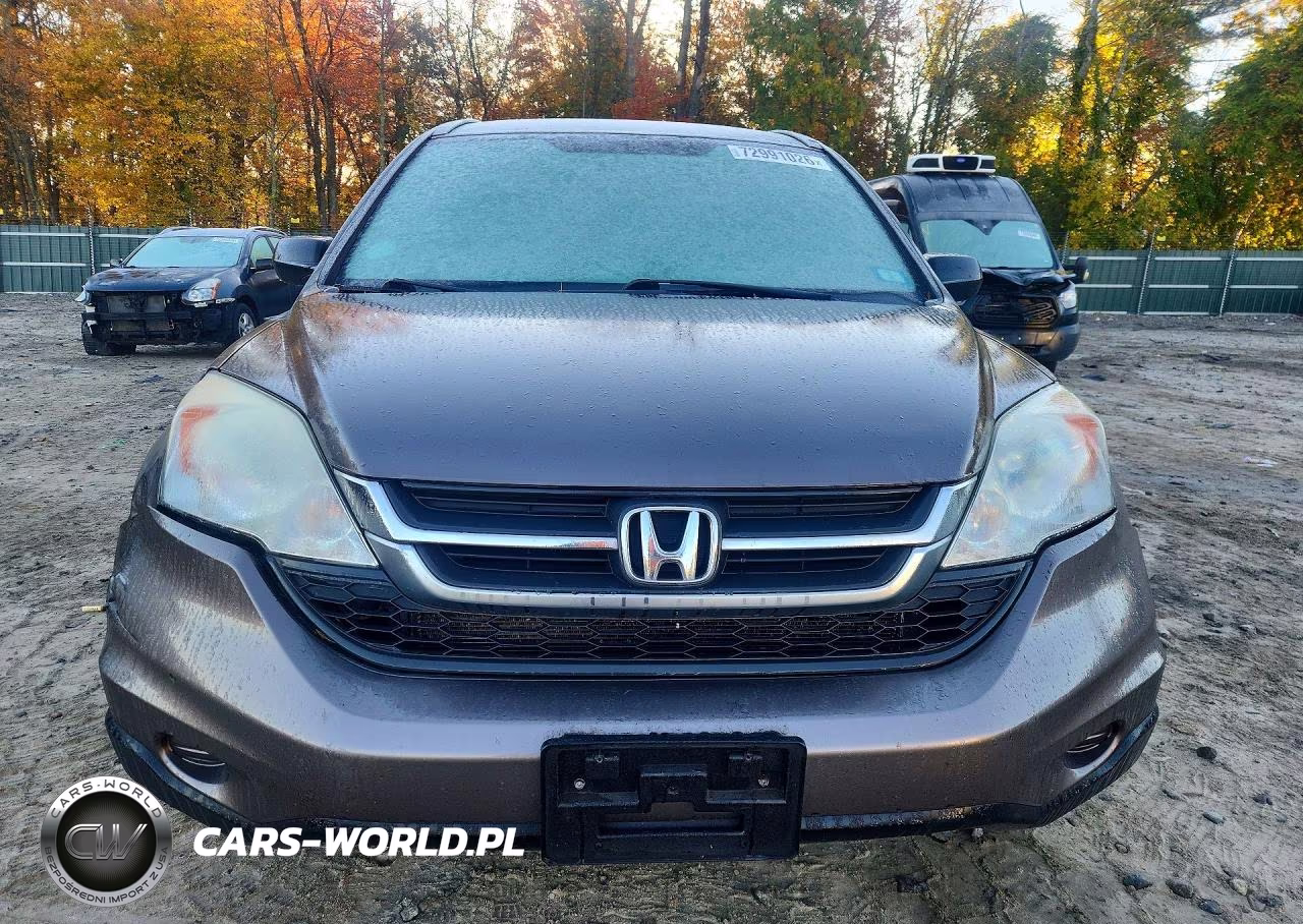2010 Honda Cr-V Lx VIN:5J6RE4H35AL079674 - 5