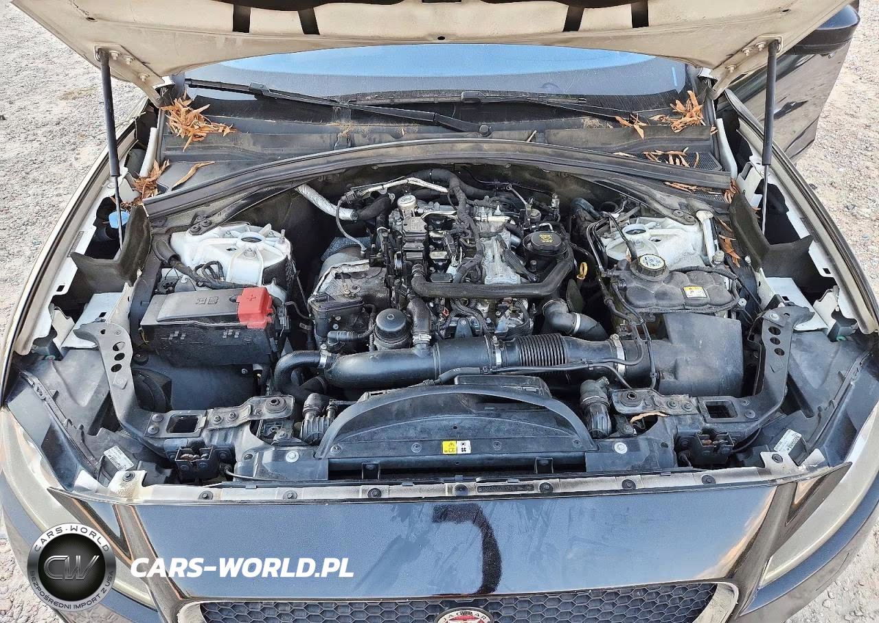 2018 Jaguar F-Pace Premium VIN:SADCJ2FX0JA287429 - 12