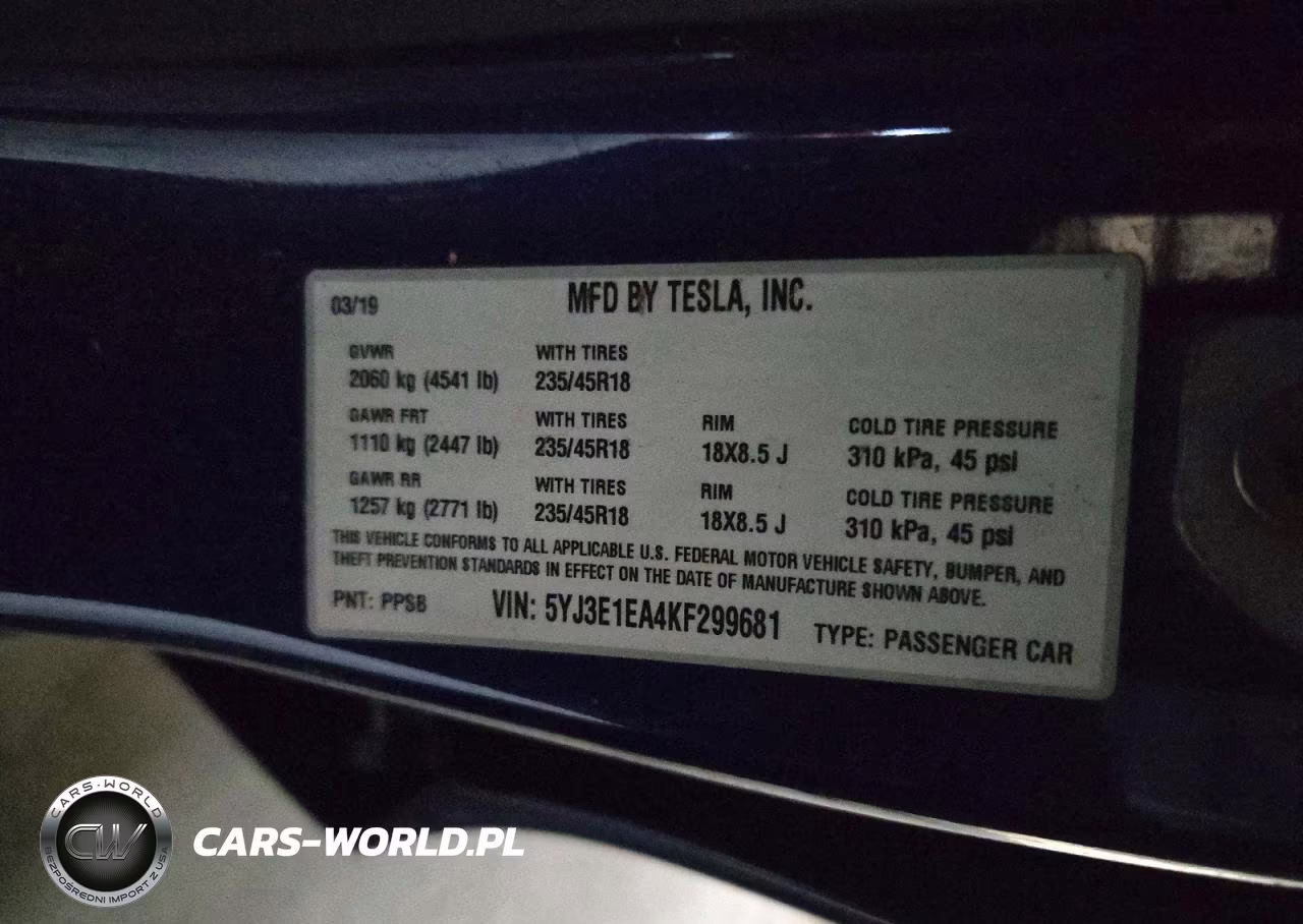 2019 Tesla Model 3 VIN:5YJ3E1EA4KF299681 - 12