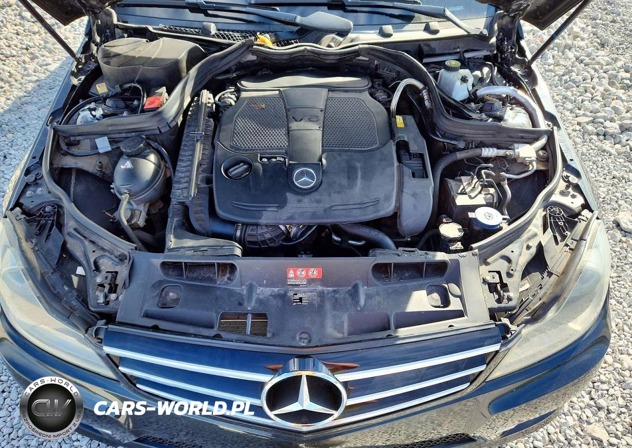2014 Mercedes-Benz C 300 4Matic VIN:WDDGF8AB8EG231339 - 11