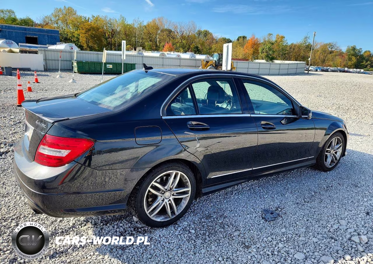 2014 Mercedes-Benz C 300 4Matic VIN:WDDGF8AB8EG231339 - 3