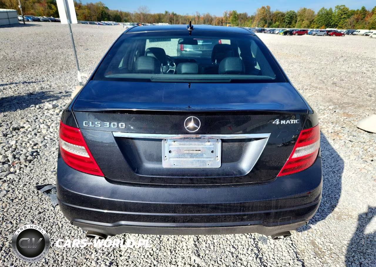 2014 Mercedes-Benz C 300 4Matic VIN:WDDGF8AB8EG231339 - 6