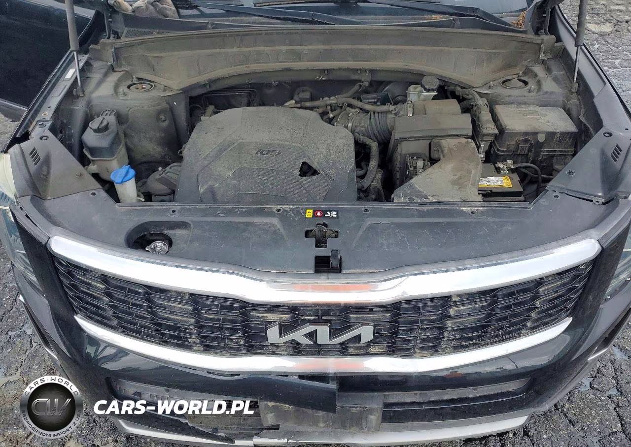 2022 Kia Telluride Ex VIN:5XYP3DHC5NG211398 - 12